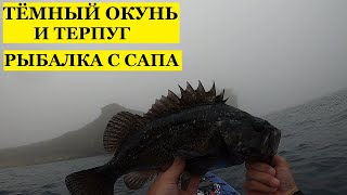 тёмный окунь, терпуг и деликатес. рыбалка с сапа удалась на славу.