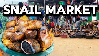 Biggest Snail Market In Delta 🇳🇬Where Millions Of Snails Are Sold At Better Prices #smallbusiness