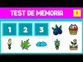 Test de memoria  memoria visual para adultos  jogo da memoria visual