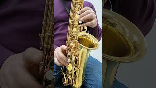 Trevor James Horn Revolution Alto saxophone