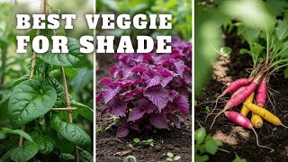 Top 10 Vegetables and Herbs PERFECT for SHADE Garden Spots