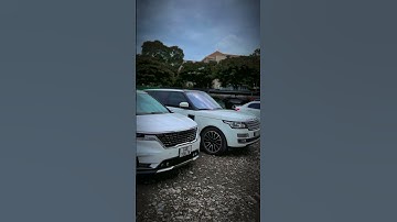 Anh em cùng cha khác ông nội ! #kiacarnival #phamlinhtv #vlog