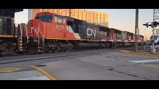CN 100 LEADS CN L507