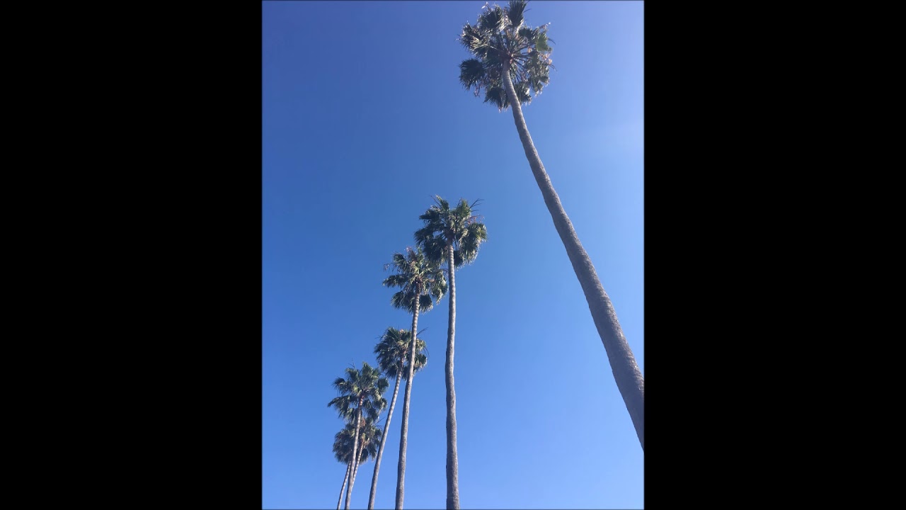 Mira Del Playa - Easy en YouTube Mira Del Playa - Easy en YouTube