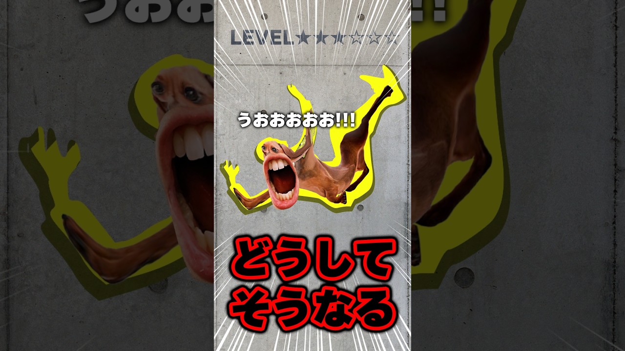 脳カベゲーム Lv.100