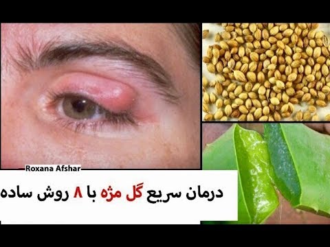 تصویری: ورم ملتحمه در سگ ها: تشخیص و درمان