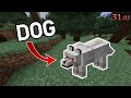 Minecraft pet a dog speedrun world record 3102