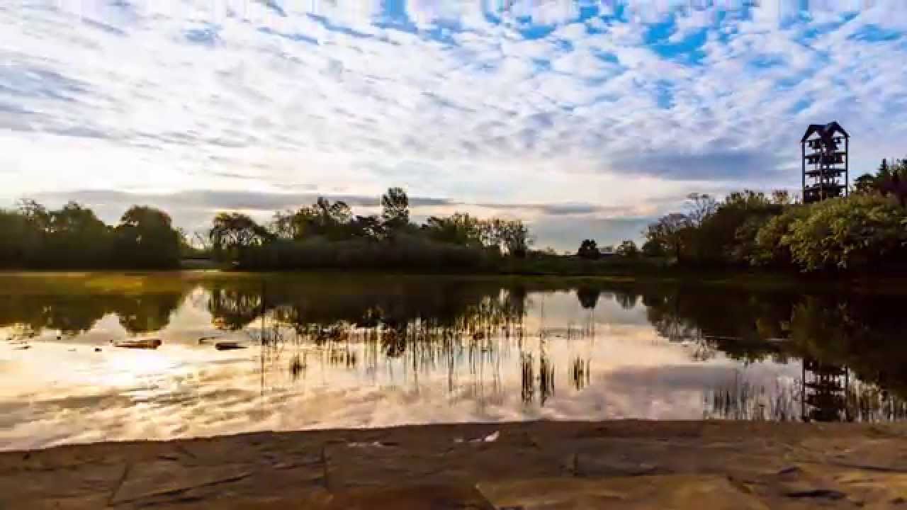 Sunrise at the Chicago Botanic Garden