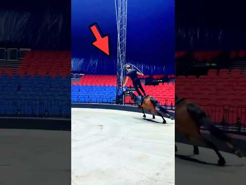 Este acróbata montó de pie sobre un caballo a toda velocidad