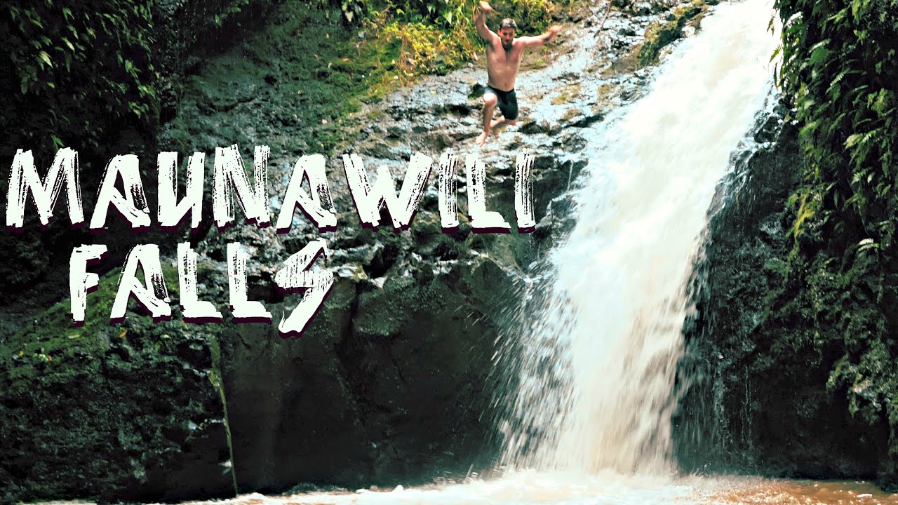 Maunawili Falls Oahu Hike and Cliff Jumping [4k] - YouTube