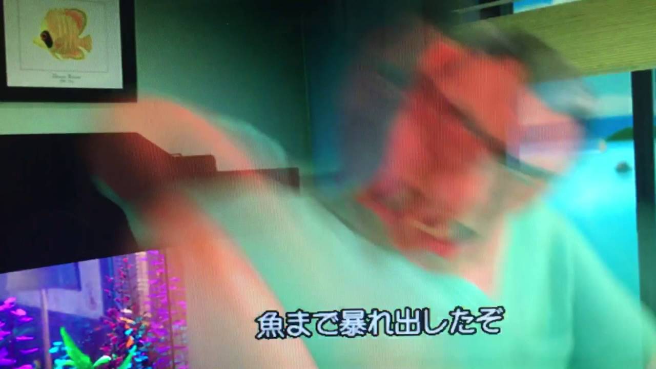 ファインディングニモ 暴れる Youtube