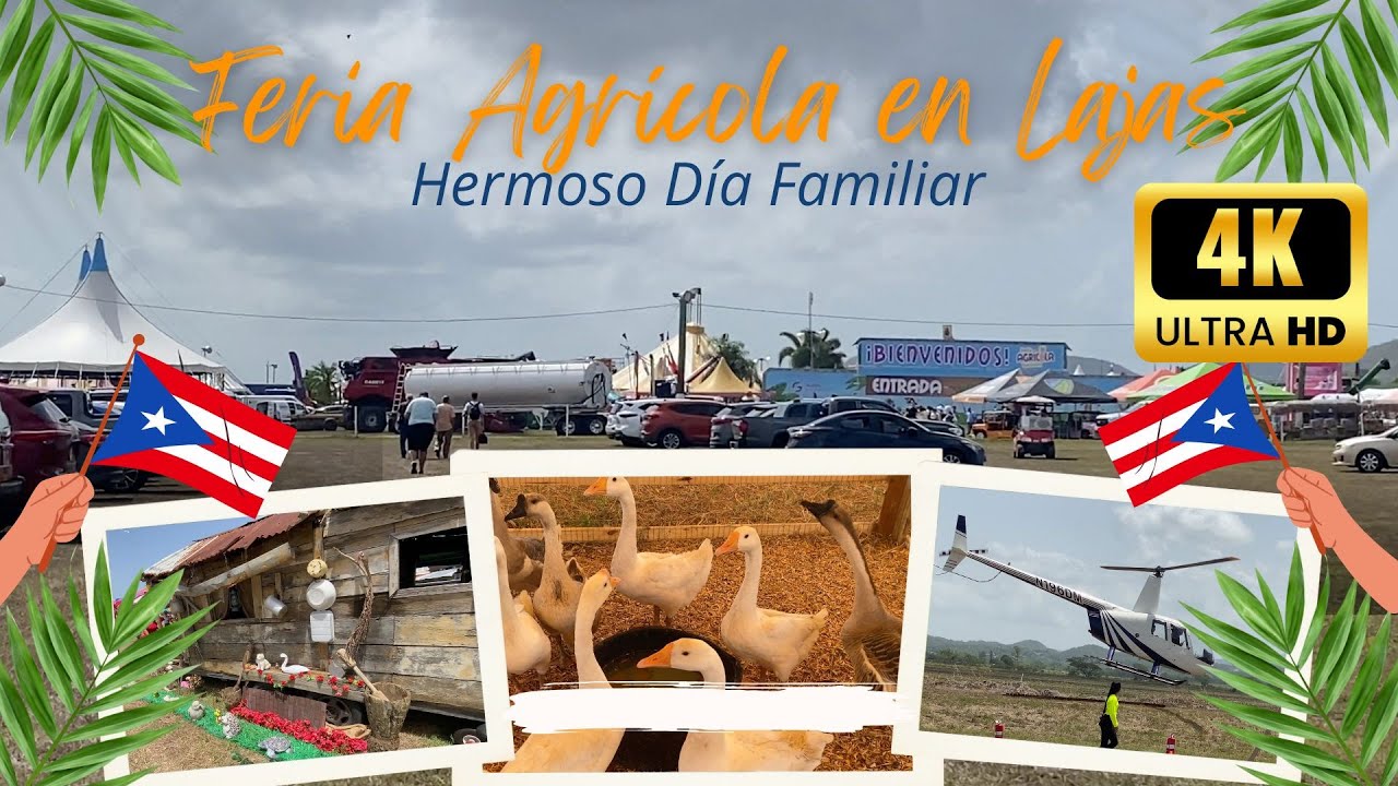 4K FERIA AGRICOLA EN LAJAS PUERTO RICO YouTube