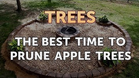 The Best Time to Prune Apple Trees