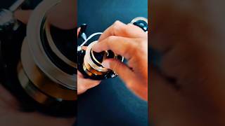 2025 Daiwa Saltiga 8000H with SLP WORKS 14000 DRD spool & DRD drag knob