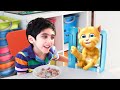 Talking Cat eats Breakfast + MORE With Shane