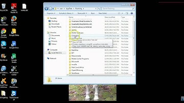 paste wallet.dat file back