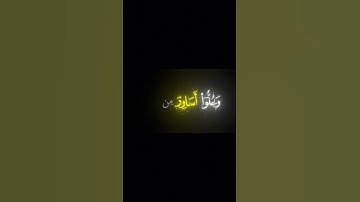 عَينًا فيها تُسَمّى سَلسَبيلًا || كروما قران كريم شاشة سوداء || محمد اللحيدان