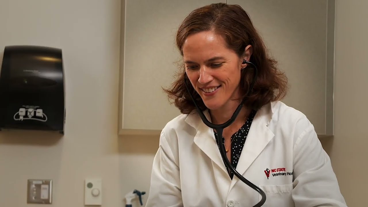 Research Connection: Dr  Gruen Pain Sensitivity Study