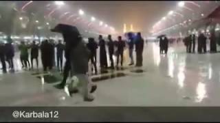 Kerbelada Bu Gece Rahmet Yağıyor... İmam Huseyn (As)In Mübarek Kabrinde Yağmurun Altında Sineze
