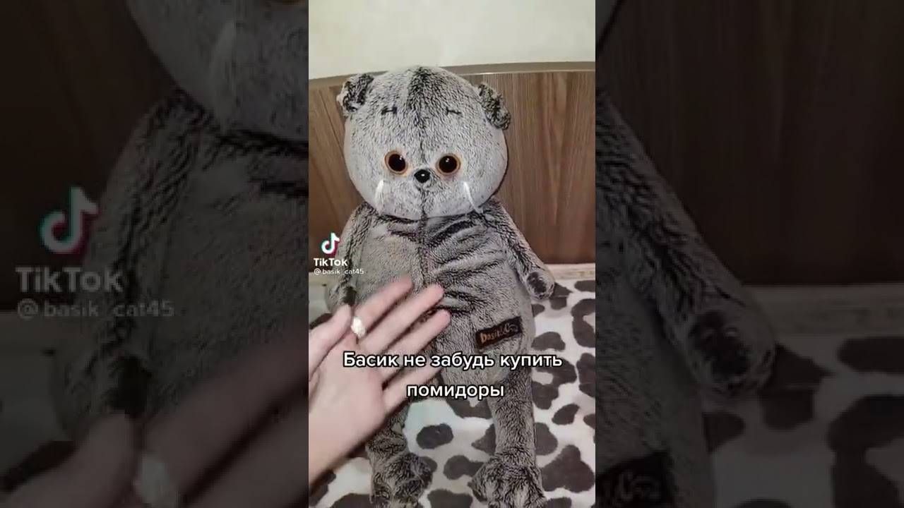 Басики из тт