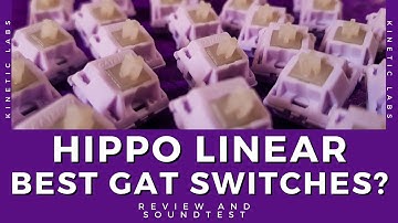 Hippo Linear Switch: The best Gateron Switches? Review and Soundtest on Vega 65 / Keyboard Typing