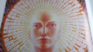 Sacred mirrors, Alex Grey, book flip through showcase