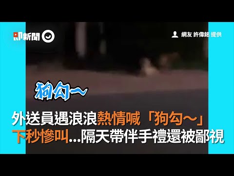 外送員遇浪浪熱情喊「狗勾～」　下秒慘叫...隔天帶伴手禮還被鄙視│寵物│狗狗
