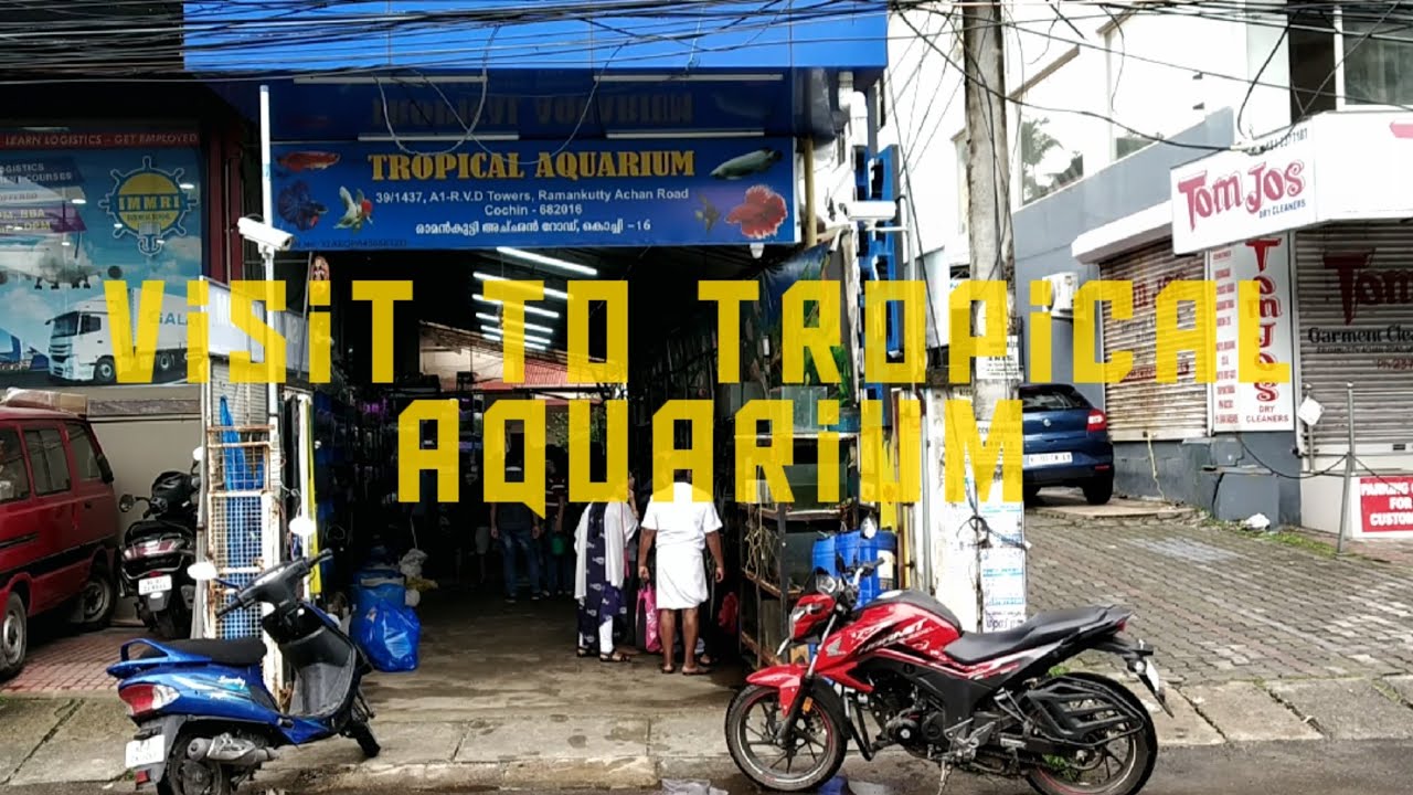 Largest wholesale and retail shop in Ernakulam TROPICAL AQUARIUM