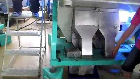 Macadamia Nuts Color Sorter, aj@colorsort.cn, sortex007@yahoo.com