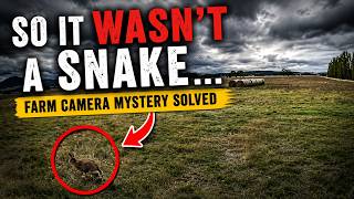 So It WASN’T a Snake… Farm Camera Mystery Solved