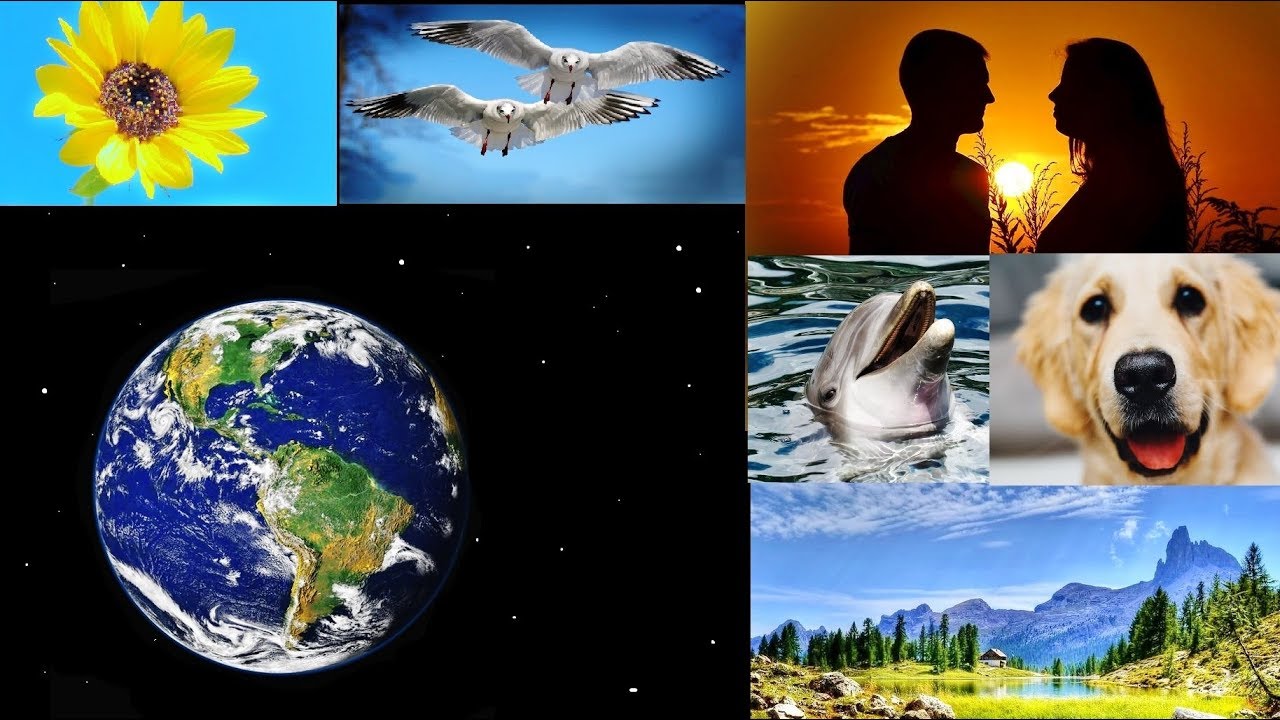 JW Song - Kingdom Melody 11 'Creation Praises God'