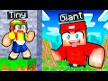 Tiny vs giant hide and seek in minecraft