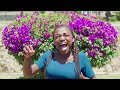 Elsamasa Band – Kenya Yangu Nakupenda (Official Video)