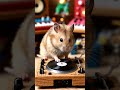 dj hamster