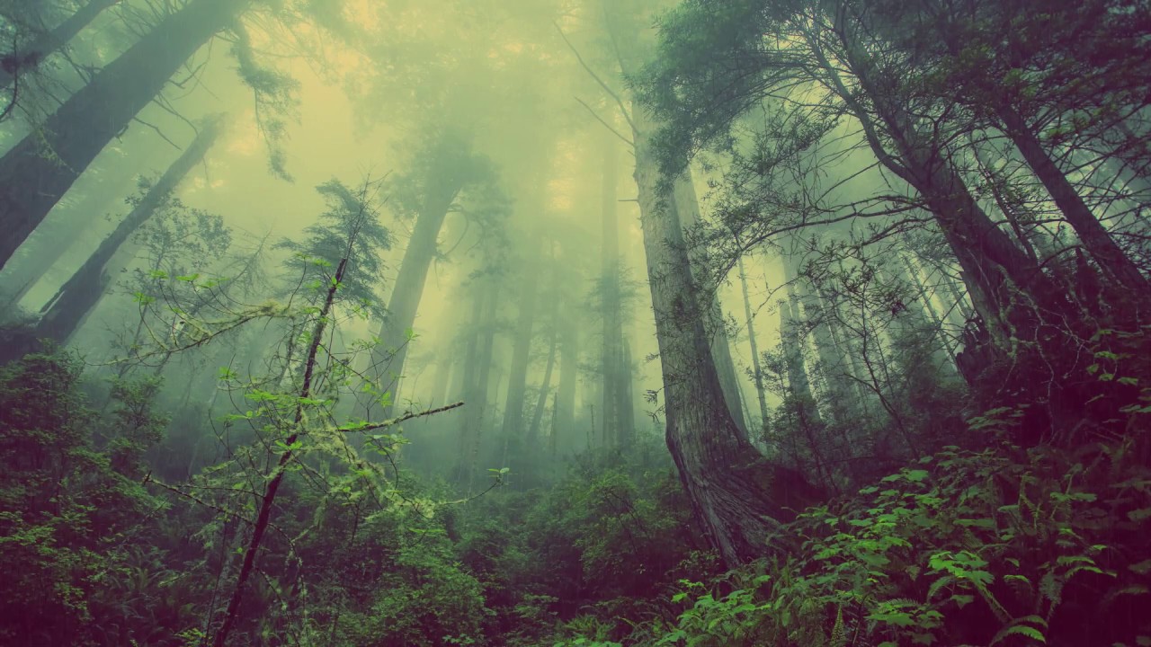 Gunship The Vale Of Shadows Youtube