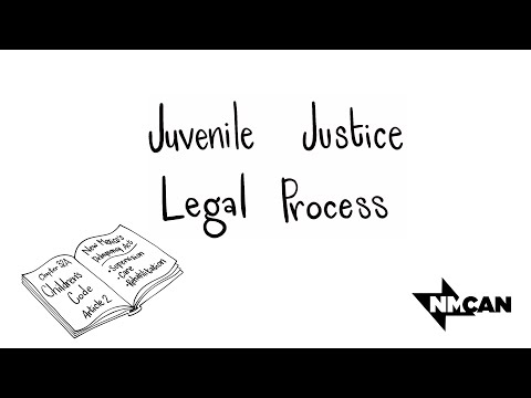 Juvenile Justice Legal Process