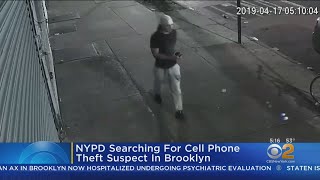 Search For Suspected Cellphone Thief