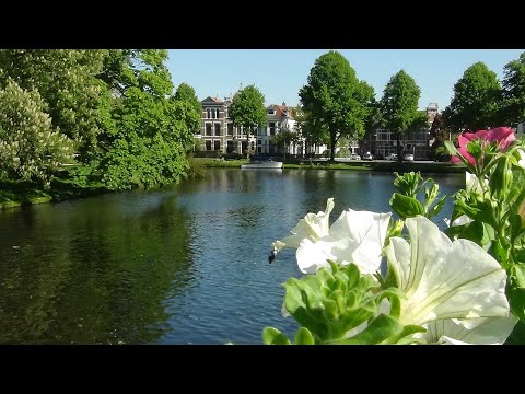 Leiden aan het water
