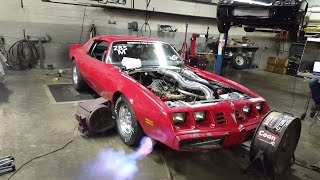 Firebird Junkyard 6.0 Big Turbo 91mm Dyno Tune!