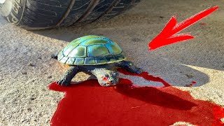 Crushing Crunchy & Soft Things by Car! EXPERIMENT CAR vs TURTLE TOY