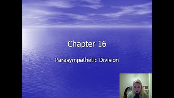 CH 16: Parasympathetic Division