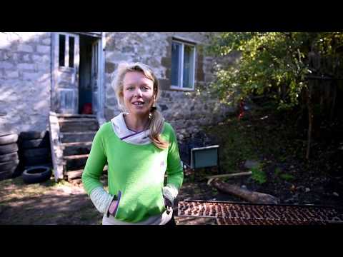 We Produce Health - ჩვენ ვაწარმოებთ ჯანმრთელობას