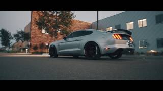 SD Wrap INSANE Satin White Aluminum Mustang with Black Cherry Accents!!!