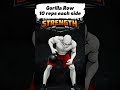 Kettlebell Back & Biceps: Rows, Deadlifts & Posterior Chain | Day 13 | 90-Day Program Follow Along