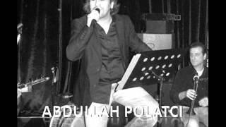 ABDULLAH POLATCI - 2012 YİNE KARLAR YAĞDI Resimi