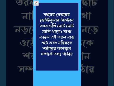 কান কিভাবে শরীরের ভারসাম্য করে ?