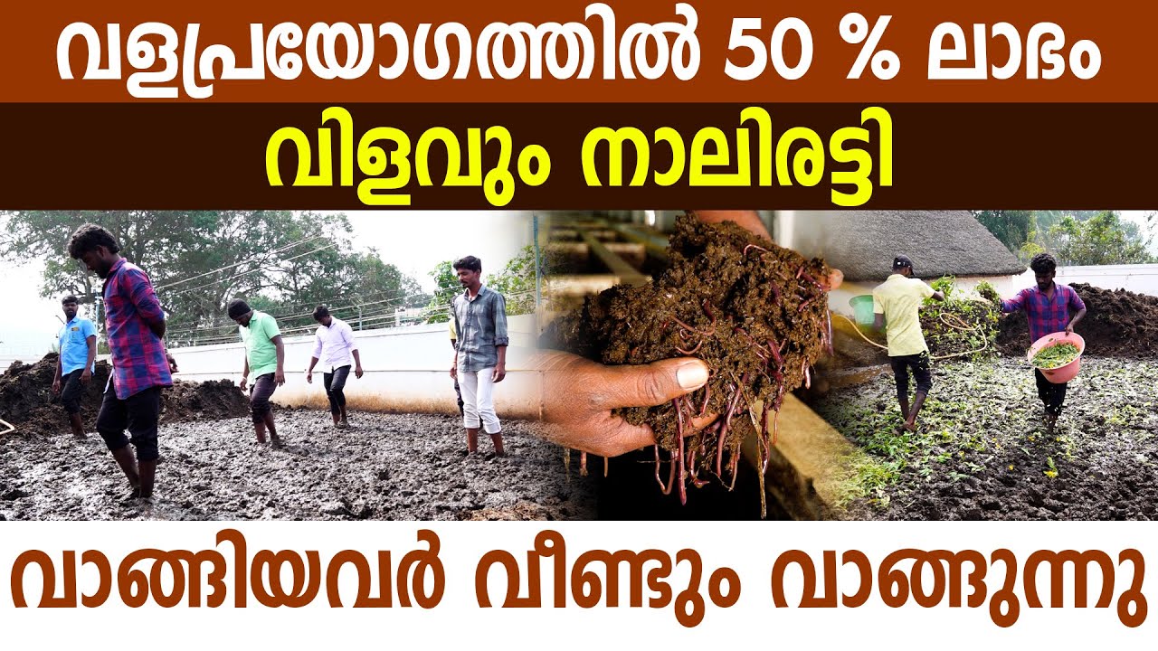 ഇതുണ്ടെങ്കിൽ കൃഷിയിടത്തിൽ 50 % വളപ്രയോ​ഗം ഒഴിവാക്കാം I composting I red worms for composting I