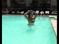 Ripped Female Bodybuilder Flexes Insane Abs in Gold Bikini