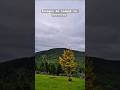 Început de toamnă in Bucovina #bucovina #toamna #autumn #peace