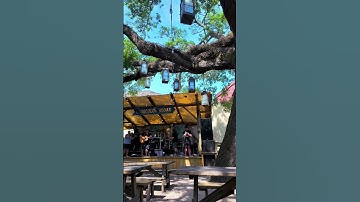 Thumbnail of 🌳🎶 Colonial Oak Music Park | Live Music Under the Ancient Oaks! 🎸🌟 #travel #tour